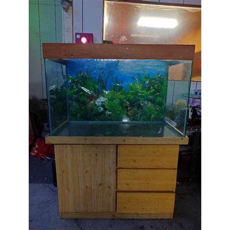 三尺魚缸養什麼魚|魚缸養多少魚合適，這個公式告訴你，再也不用請教別。